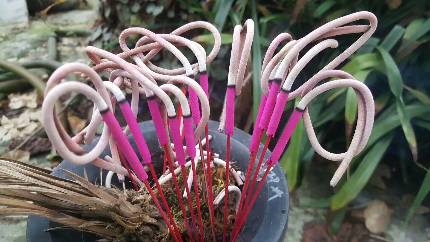 白灰卷錢香粉，卷錢香專用